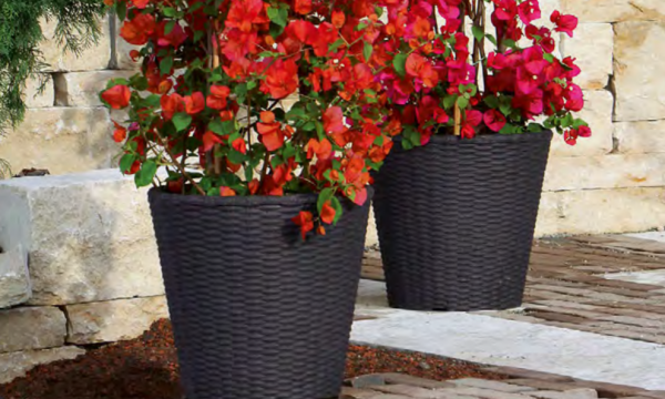 Rattan Planter